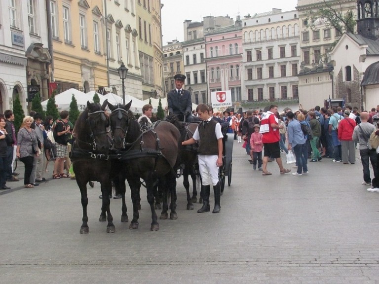 Cepeliada Kraków (5)